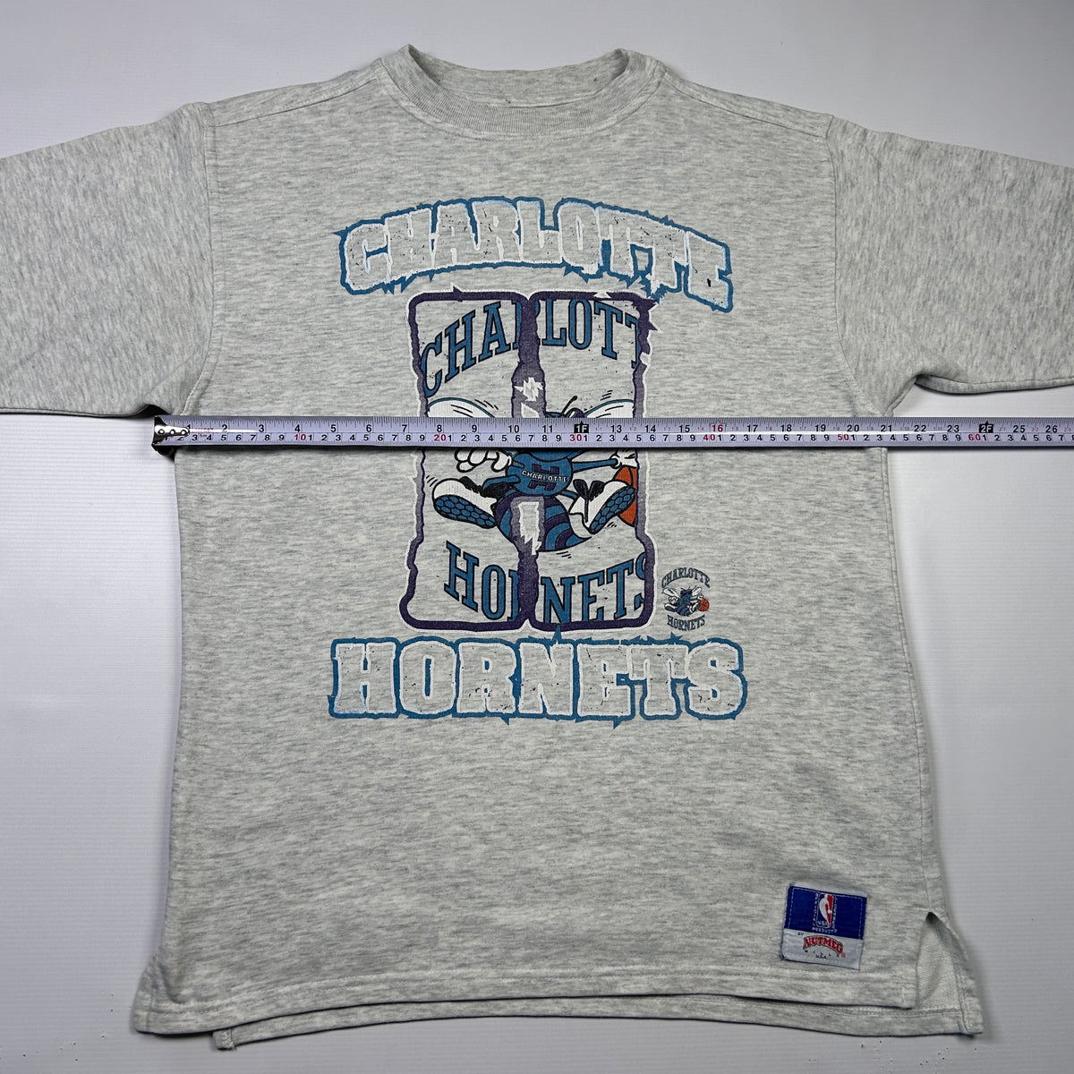 M - 1990's American Sports (NBA) Nutmeg Charlotte Hornets Longsleeve