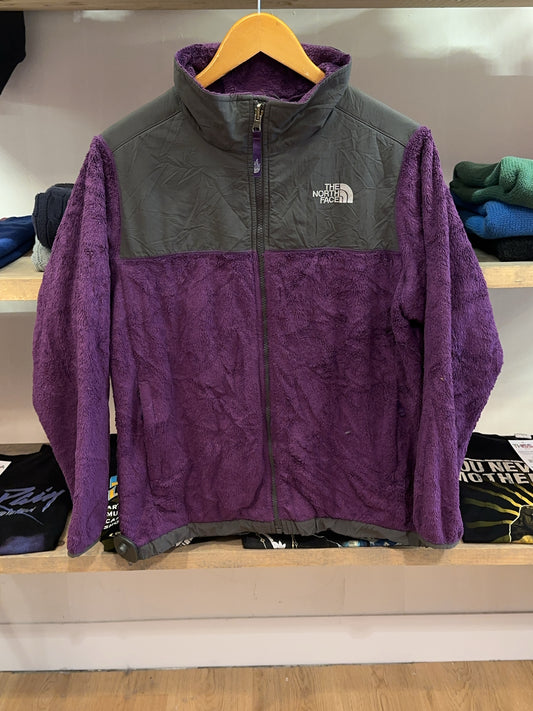 XL - Vintage 2000's The North Face Denali Fleece Jacket