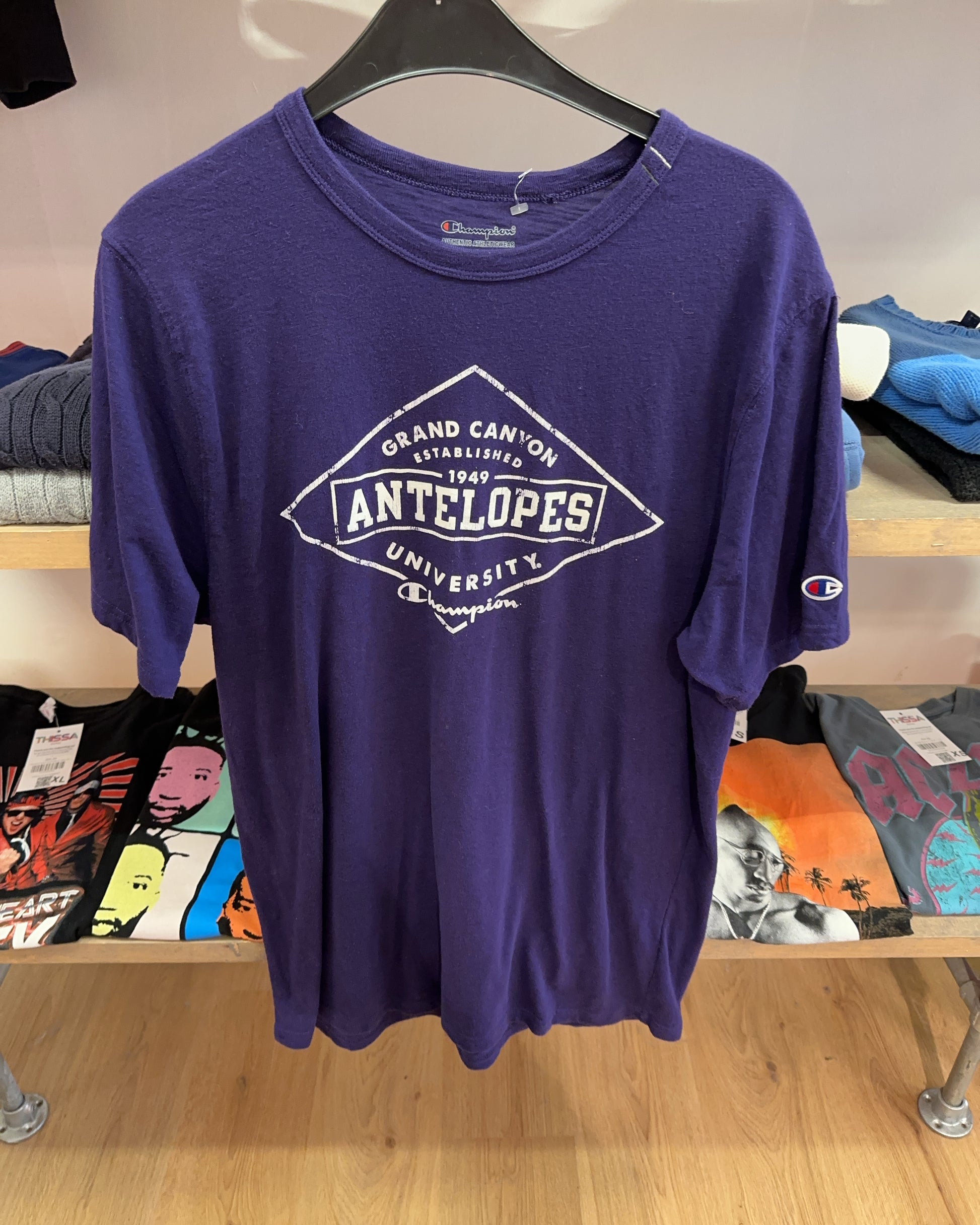 L - Champion Grand Canyon Antelopes Purple Graphic T-Shirt