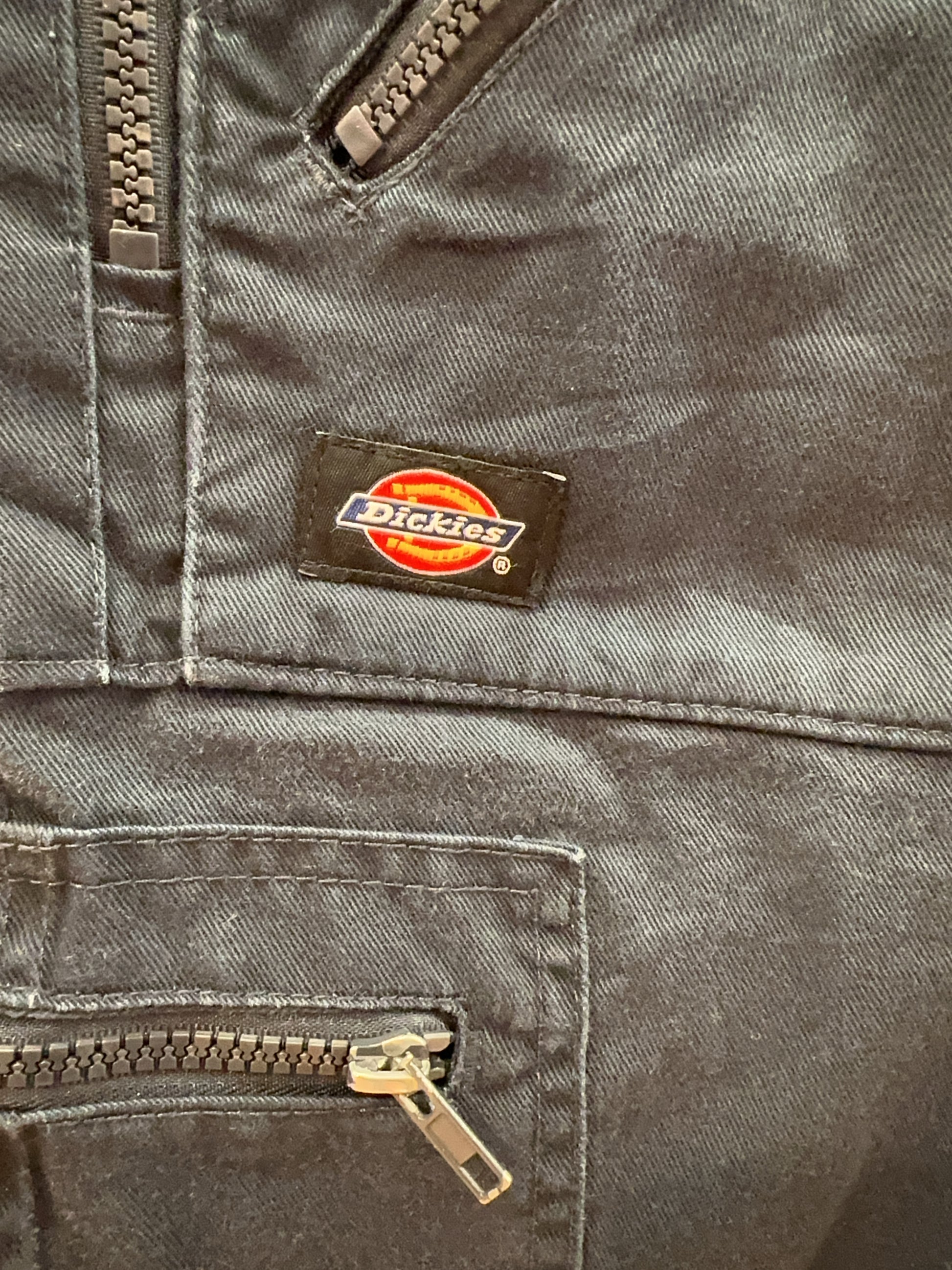 38 - Dickies Shorts