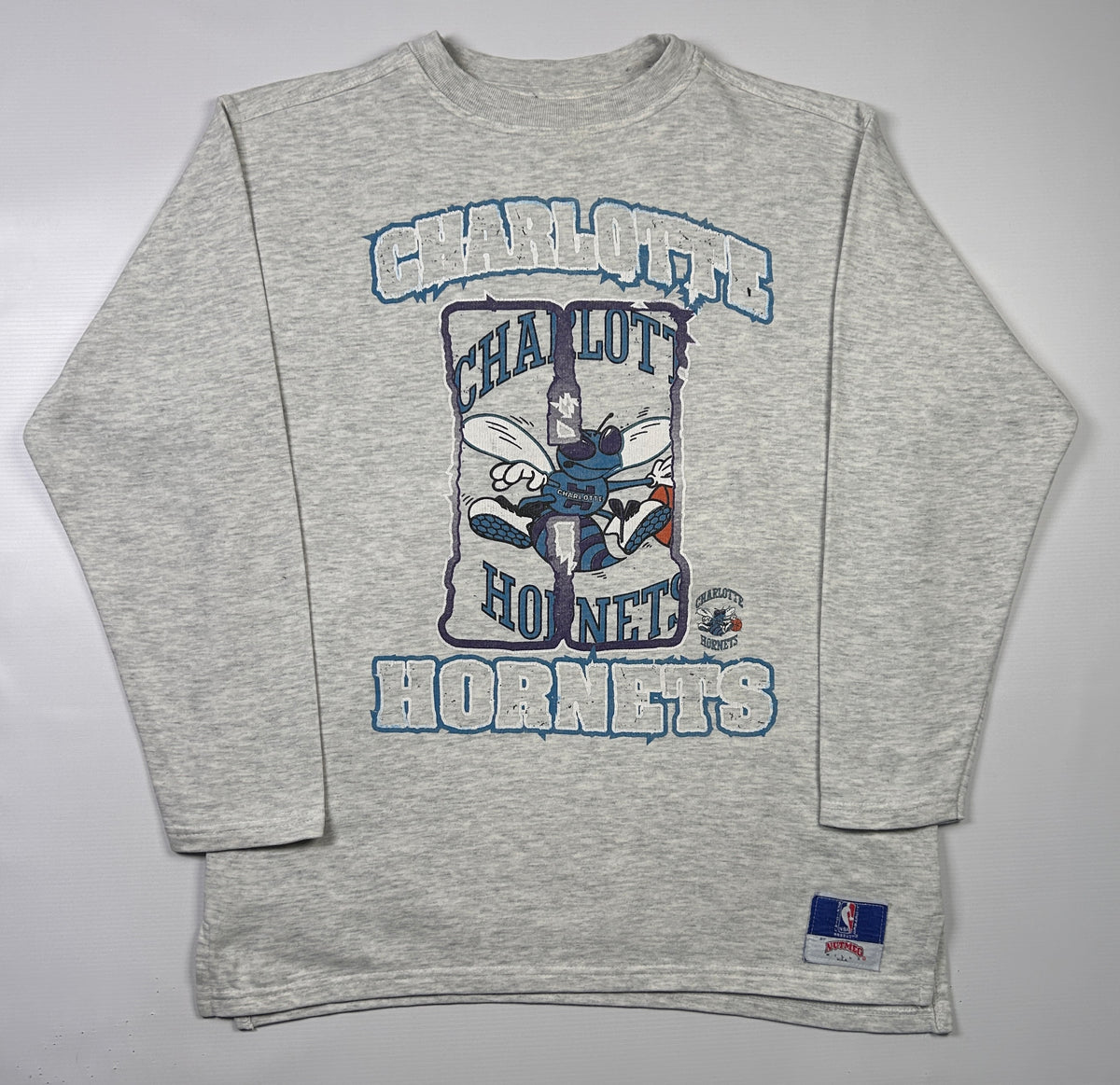 M - 1990's American Sports (NBA) Nutmeg Charlotte Hornets Longsleeve