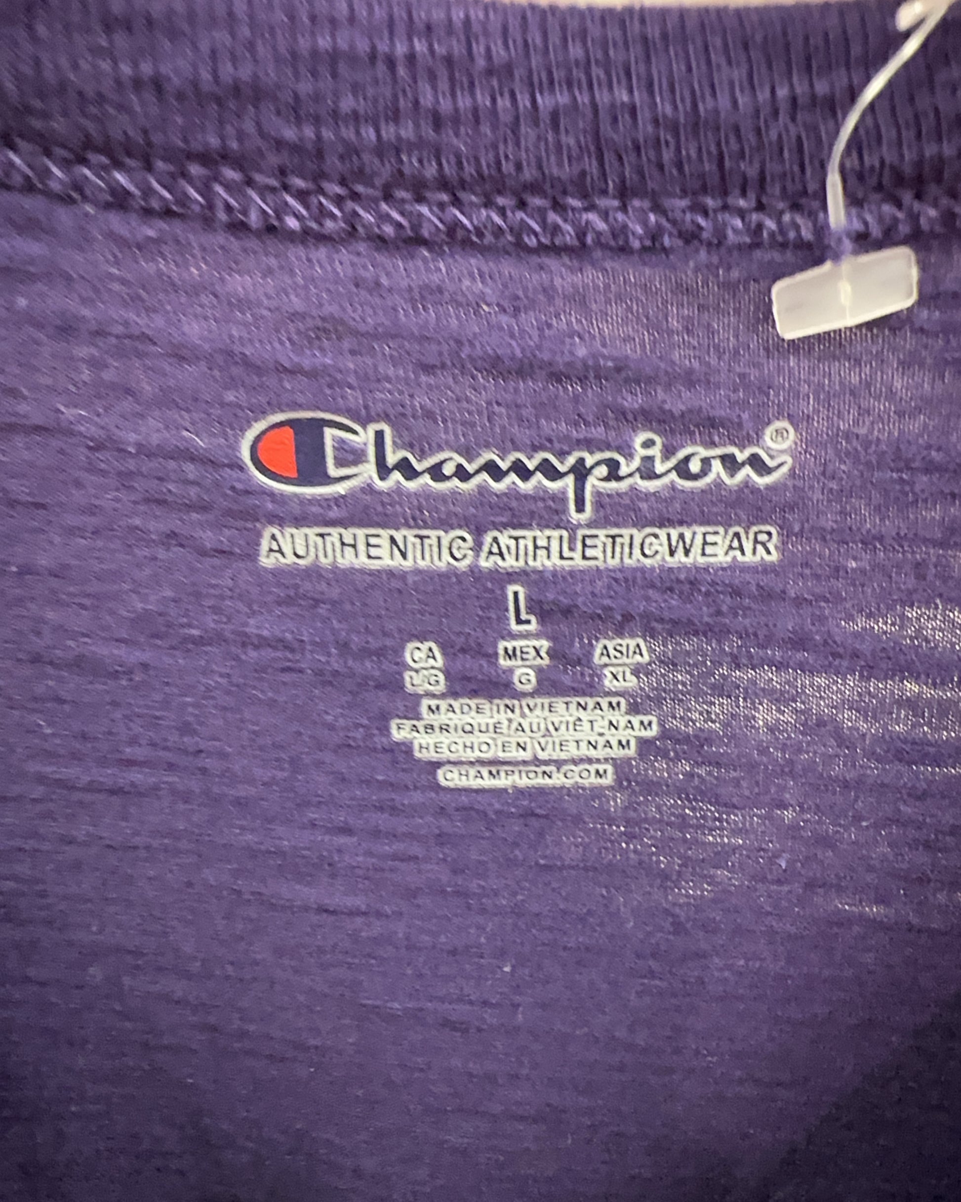 L - Champion Grand Canyon Antelopes Purple Graphic T-Shirt
