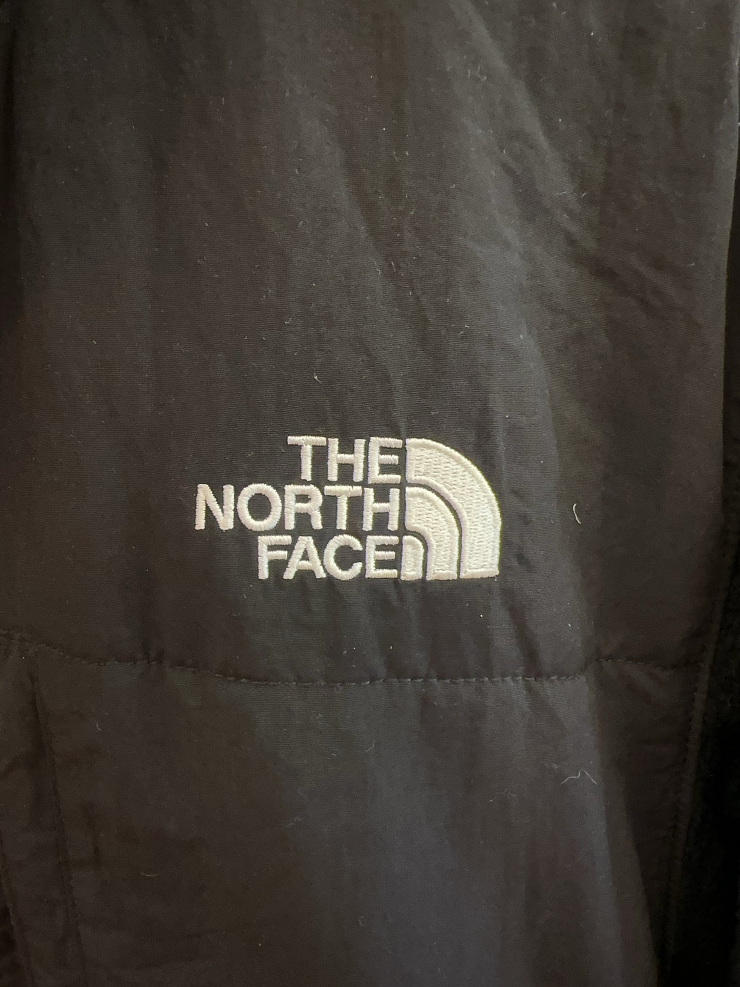 L - The North Face Fleece Jacket