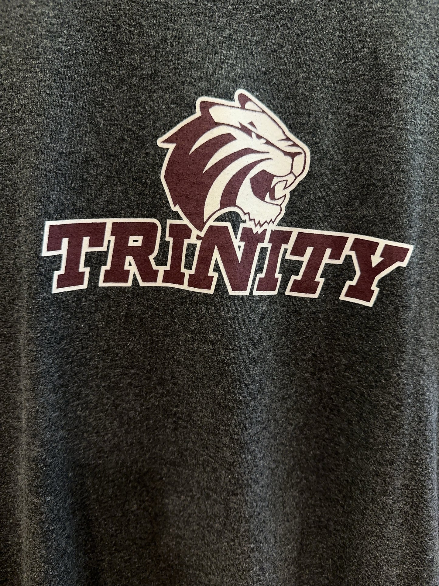 Champion Trinity Tigers Graphic T-Shirt