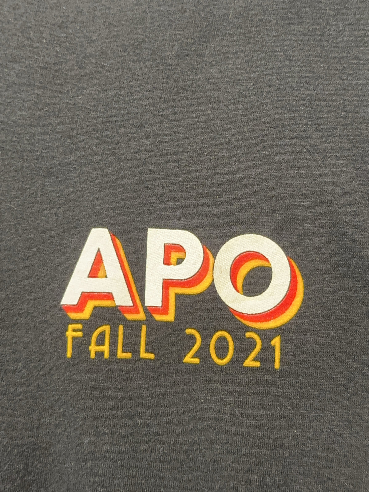 M - Vintage Alpha Phi Omega Fall 2021 T-shirt