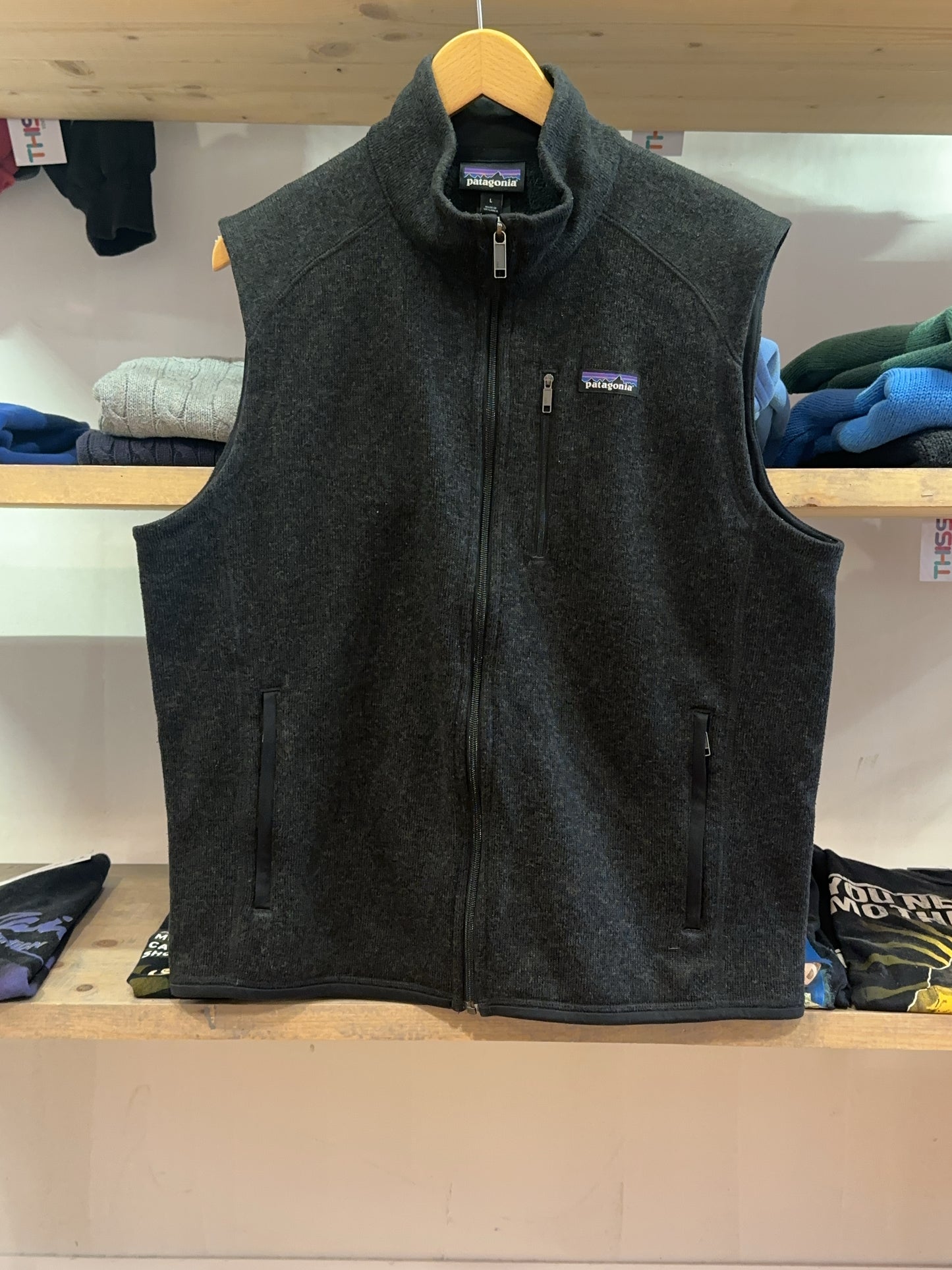 L - Patagonia Fleece Vest