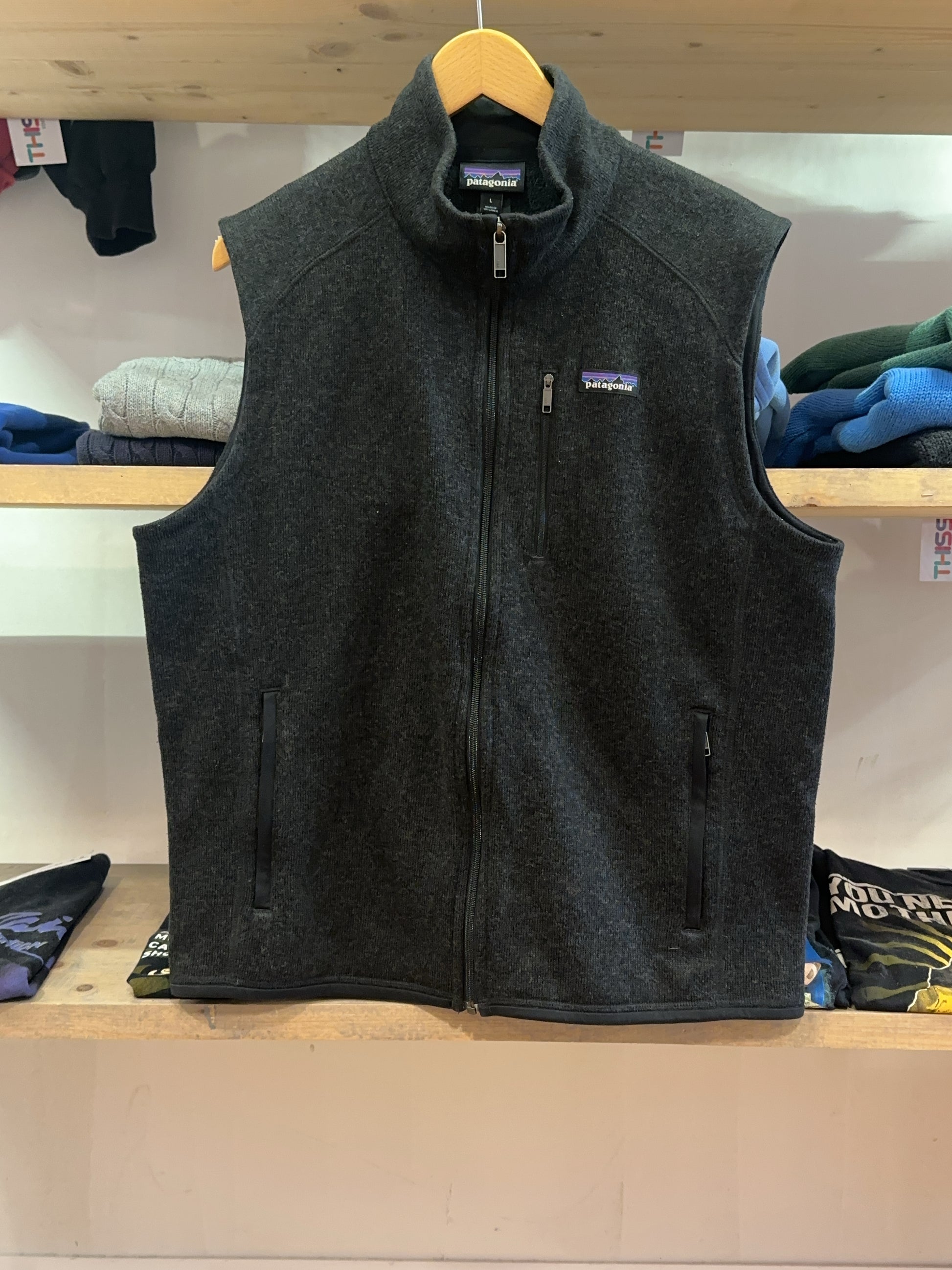 L - Patagonia Fleece Vest