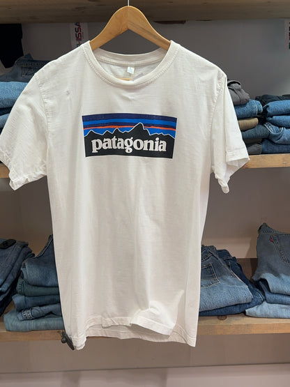 L - Patagonia T-shirt
