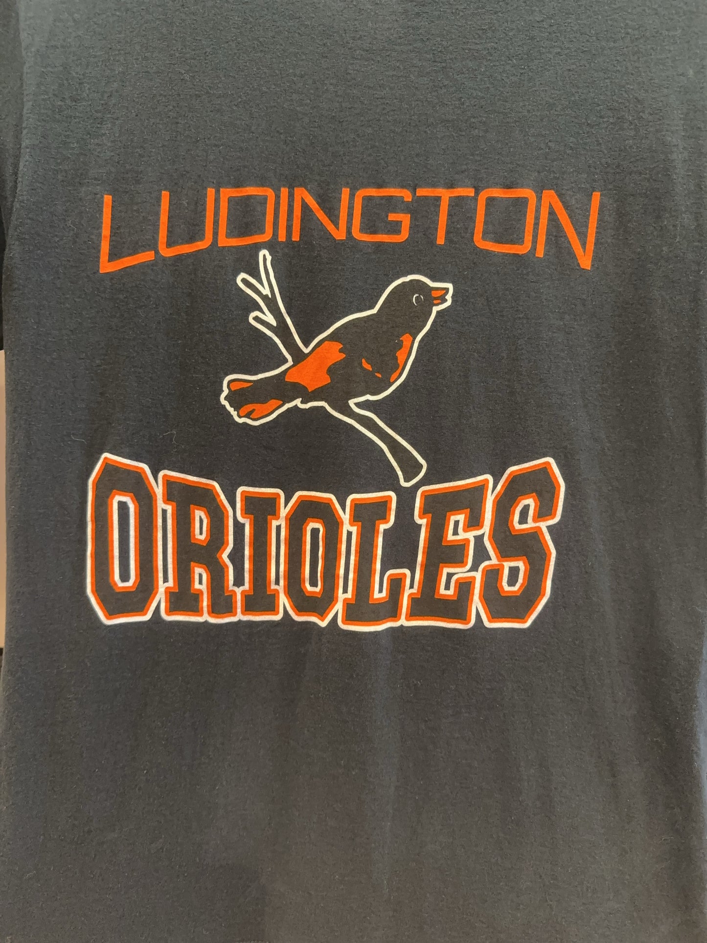 Ludington Orioles Graphic T-Shirt