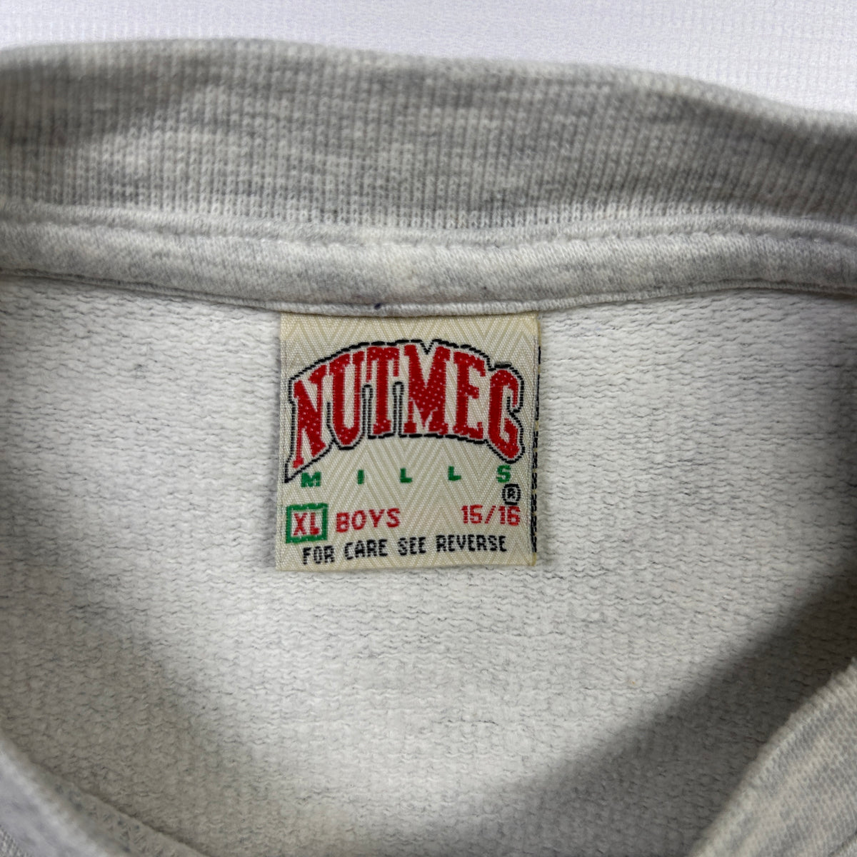 M - 1990's American Sports (NBA) Nutmeg Charlotte Hornets Longsleeve
