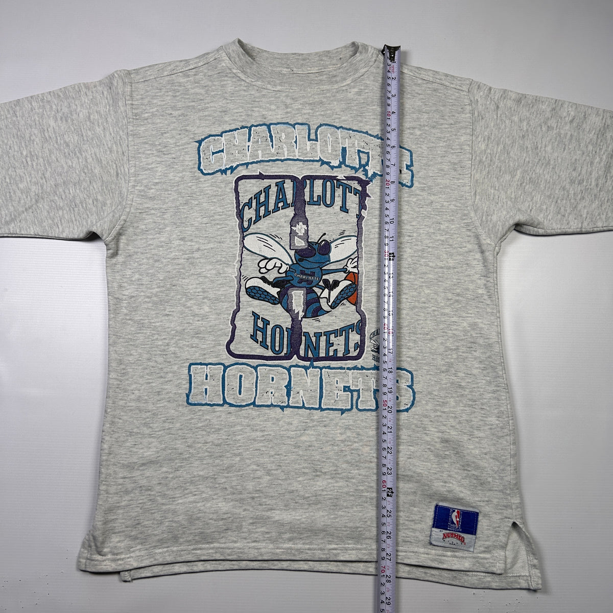 M - 1990's American Sports (NBA) Nutmeg Charlotte Hornets Longsleeve